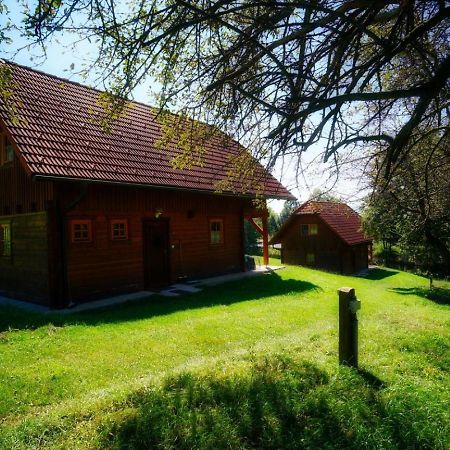 Urlaub Am Glatzl Bauernhof Villa Sankt Lorenzen am Wechsel Buitenkant foto