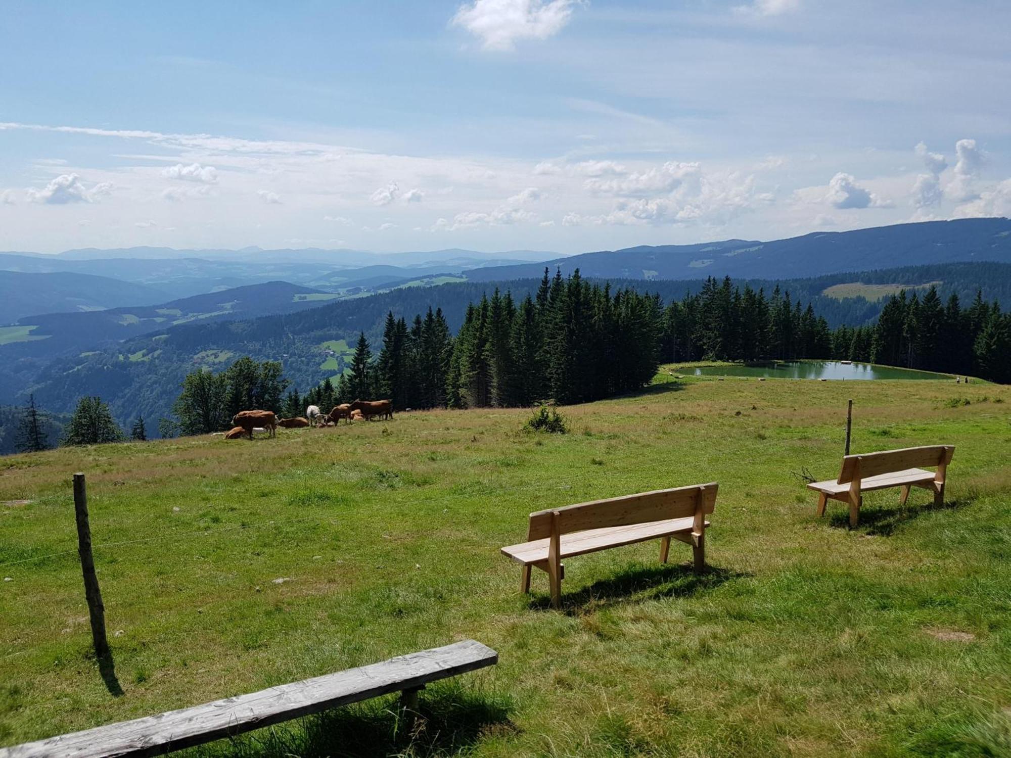 Urlaub Am Glatzl Bauernhof Villa Sankt Lorenzen am Wechsel Buitenkant foto