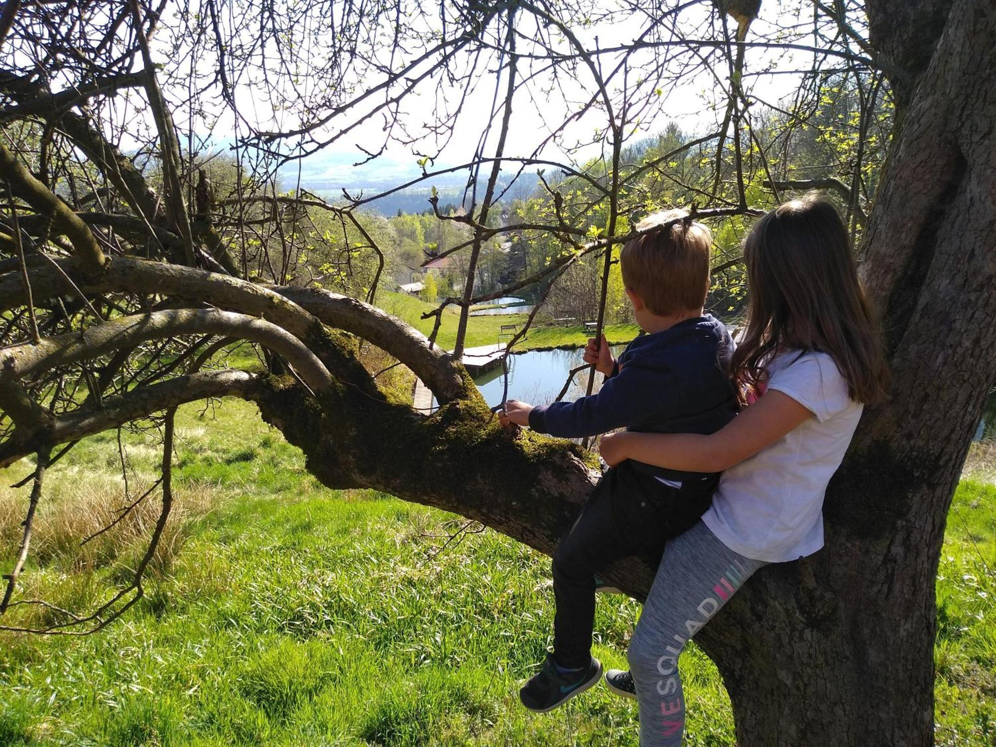 Urlaub Am Glatzl Bauernhof Villa Sankt Lorenzen am Wechsel Buitenkant foto