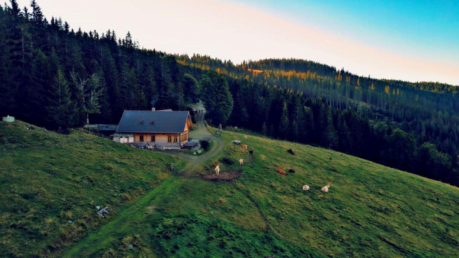 Urlaub Am Glatzl Bauernhof Villa Sankt Lorenzen am Wechsel Buitenkant foto
