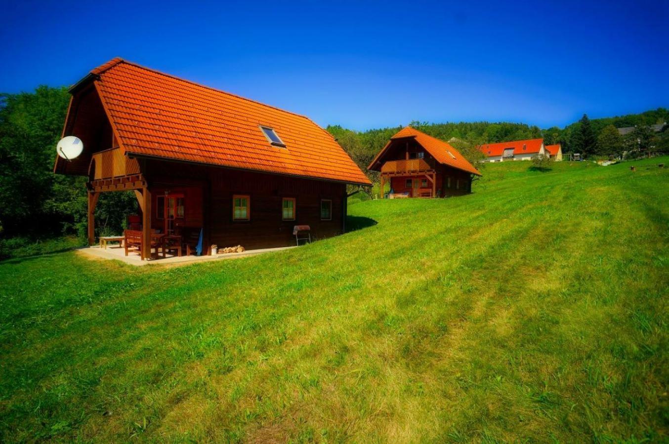 Urlaub Am Glatzl Bauernhof Villa Sankt Lorenzen am Wechsel Buitenkant foto